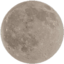 SAJU PLANET logo